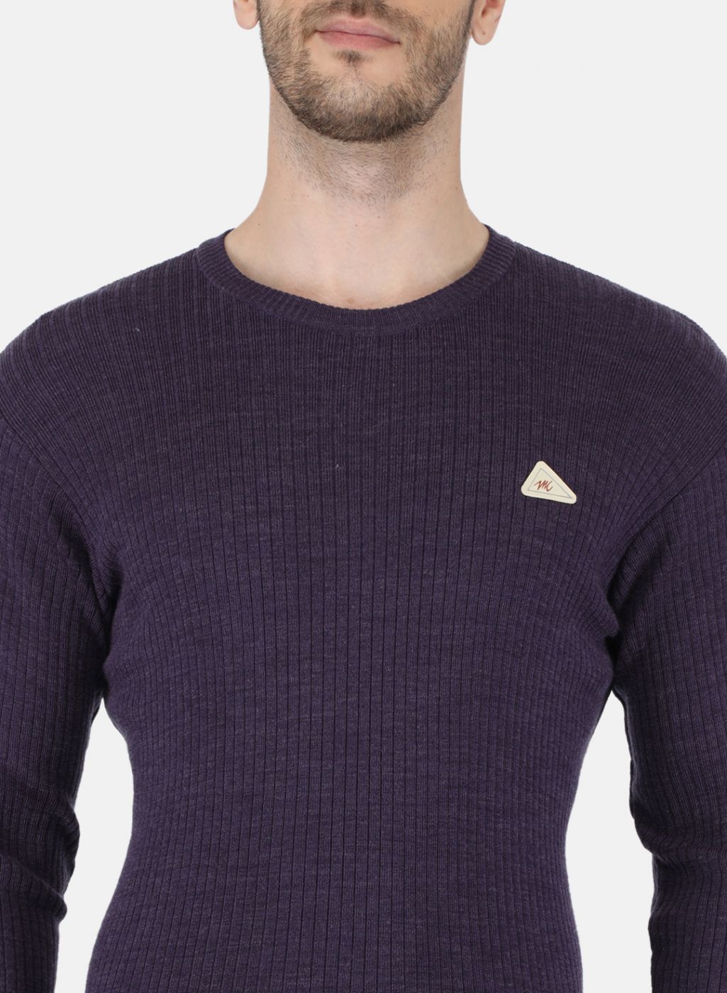 Men Purple Solid Pullover