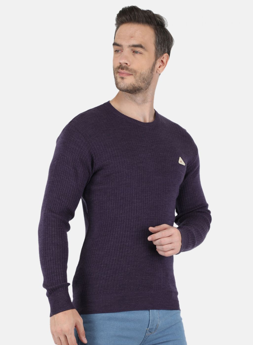 Men Purple Solid Pullover