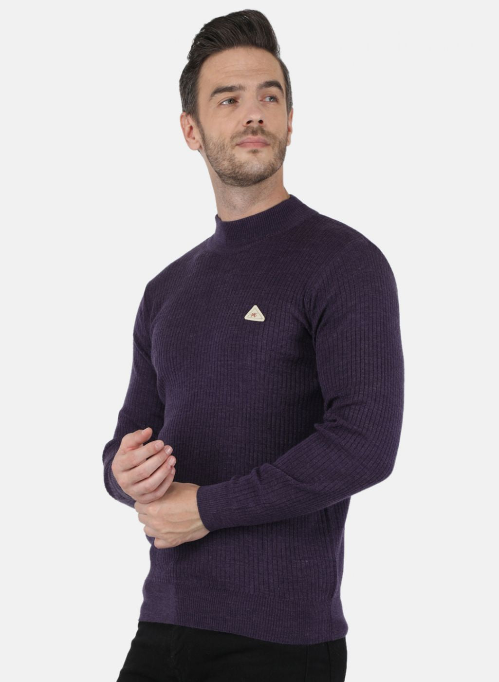 Men Purple Solid Pullover