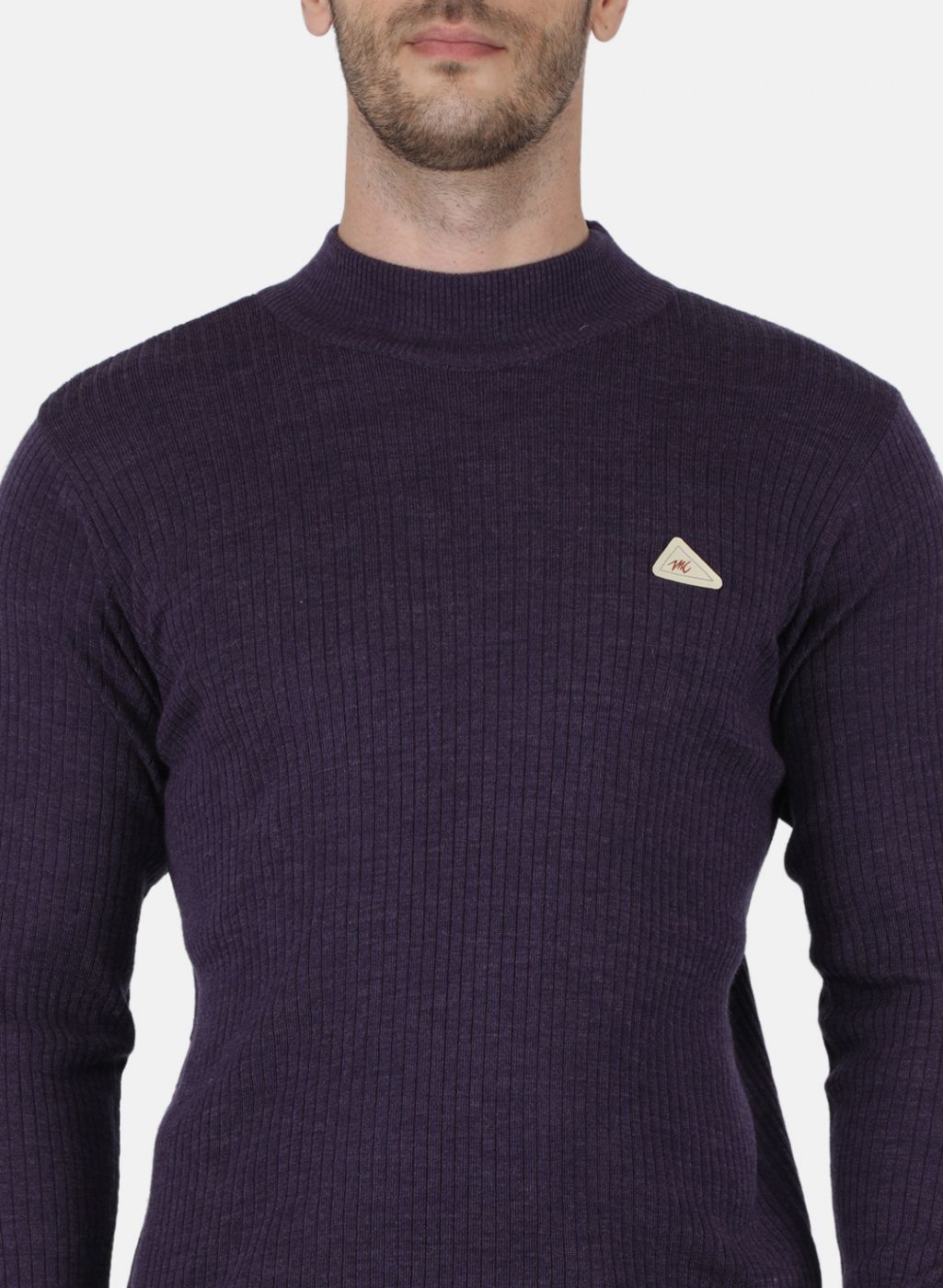 Men Purple Solid Pullover
