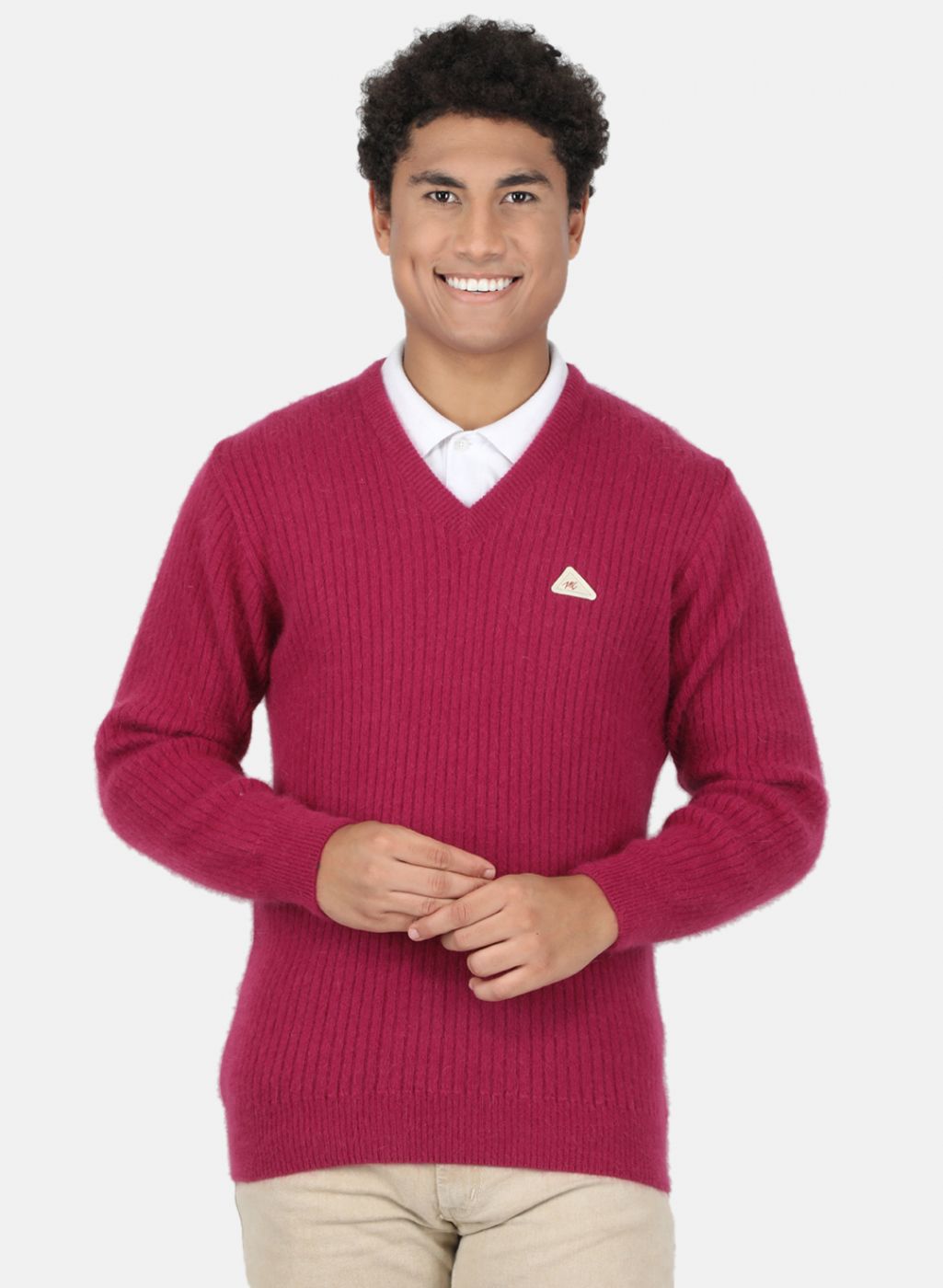 Men Purple Solid Pullover