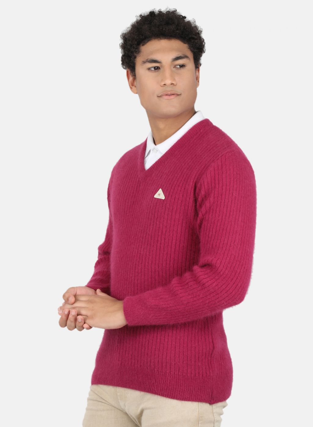 Men Purple Solid Pullover