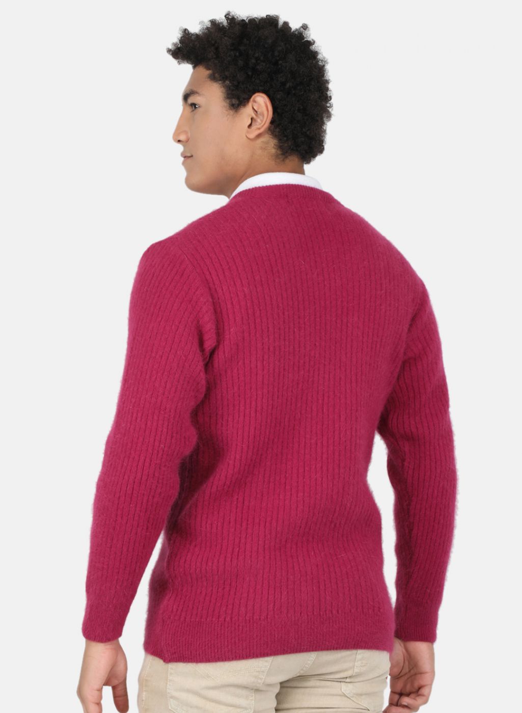 Men Purple Solid Pullover