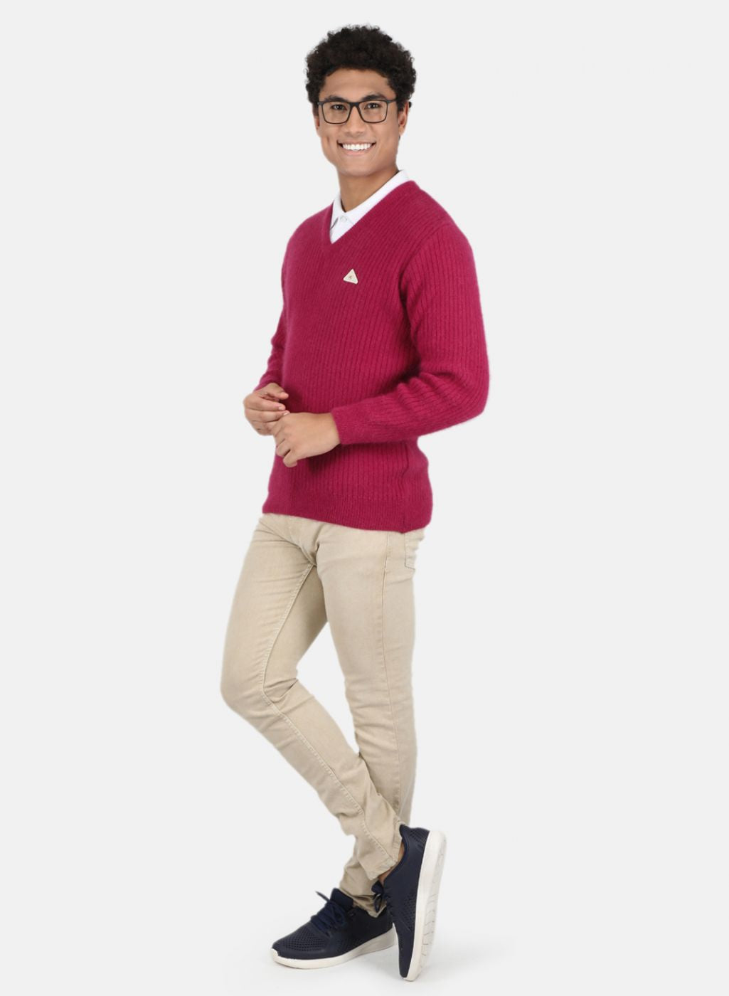 Men Purple Solid Pullover