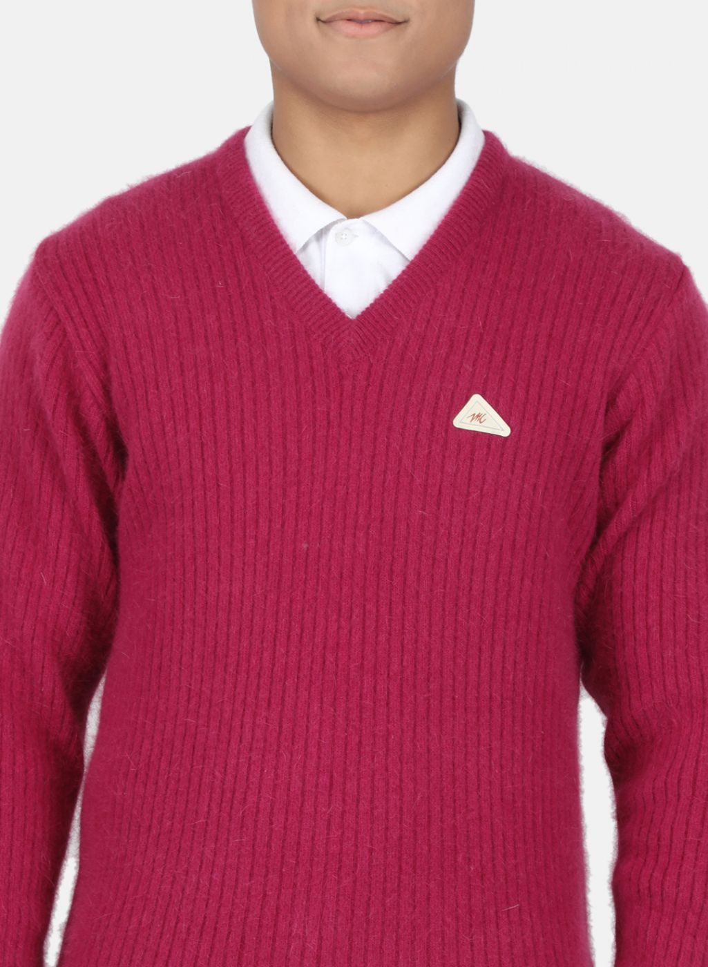Men Purple Solid Pullover