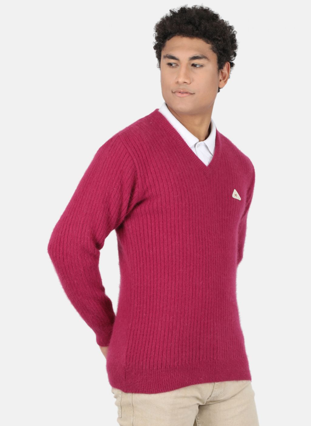 Men Purple Solid Pullover