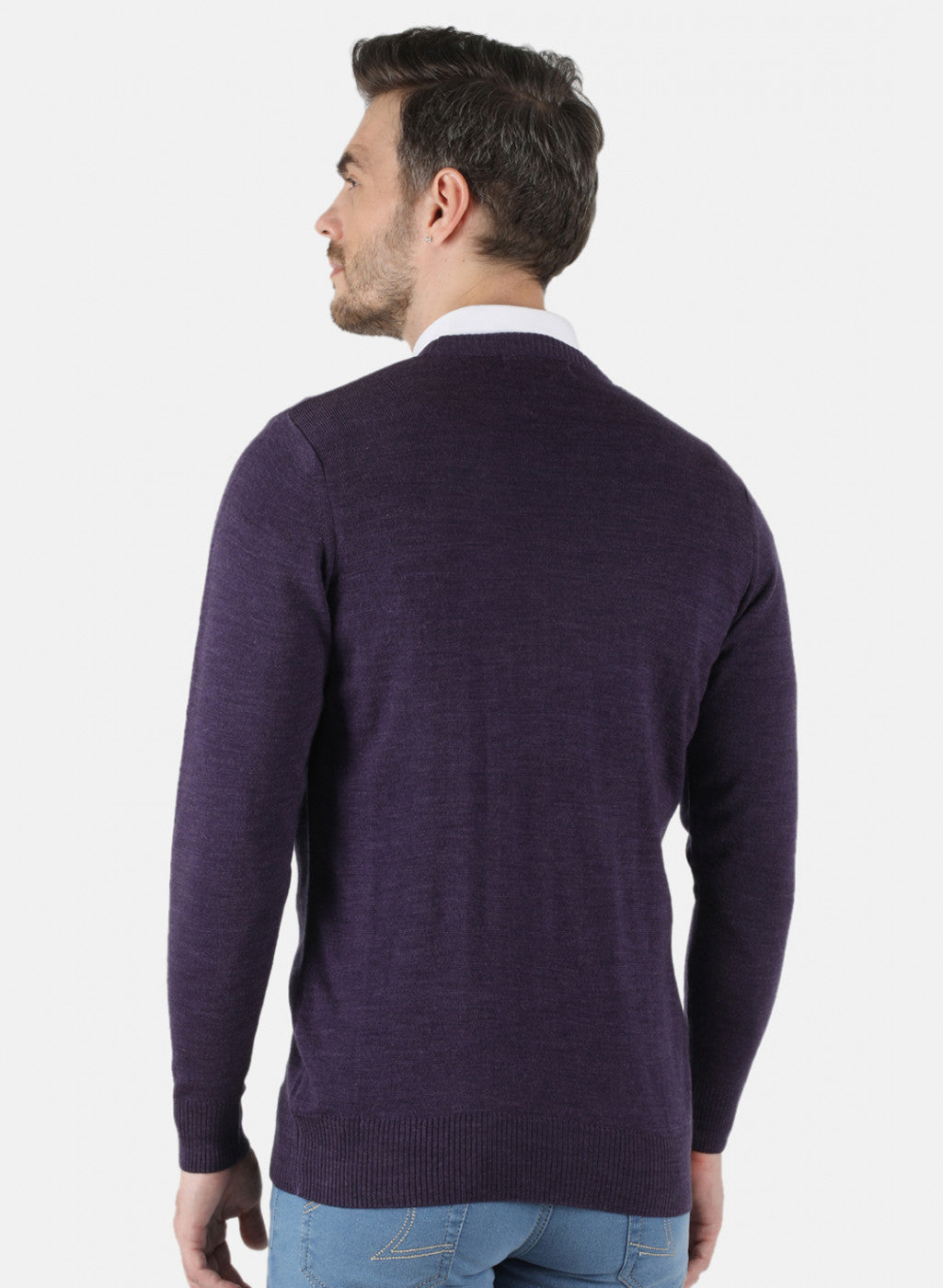 Men Purple Solid Pullover