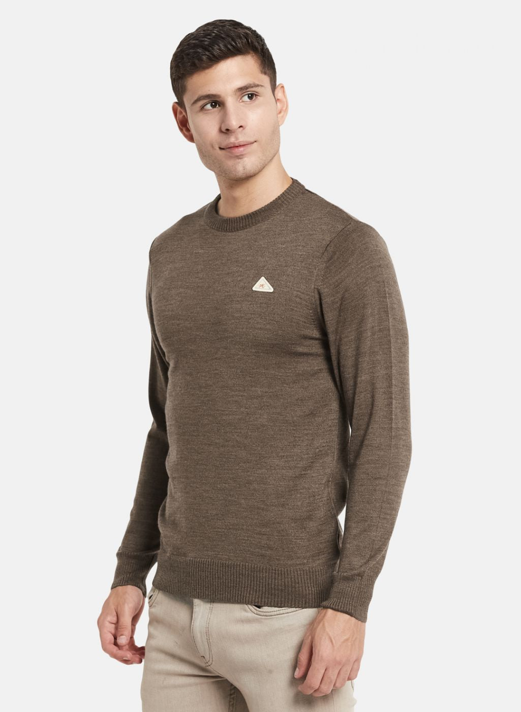 Men Brown Solid Pullover