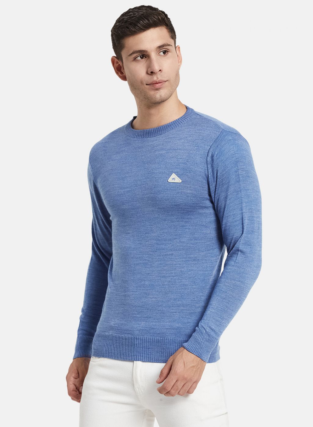 Men Blue Solid Pullover