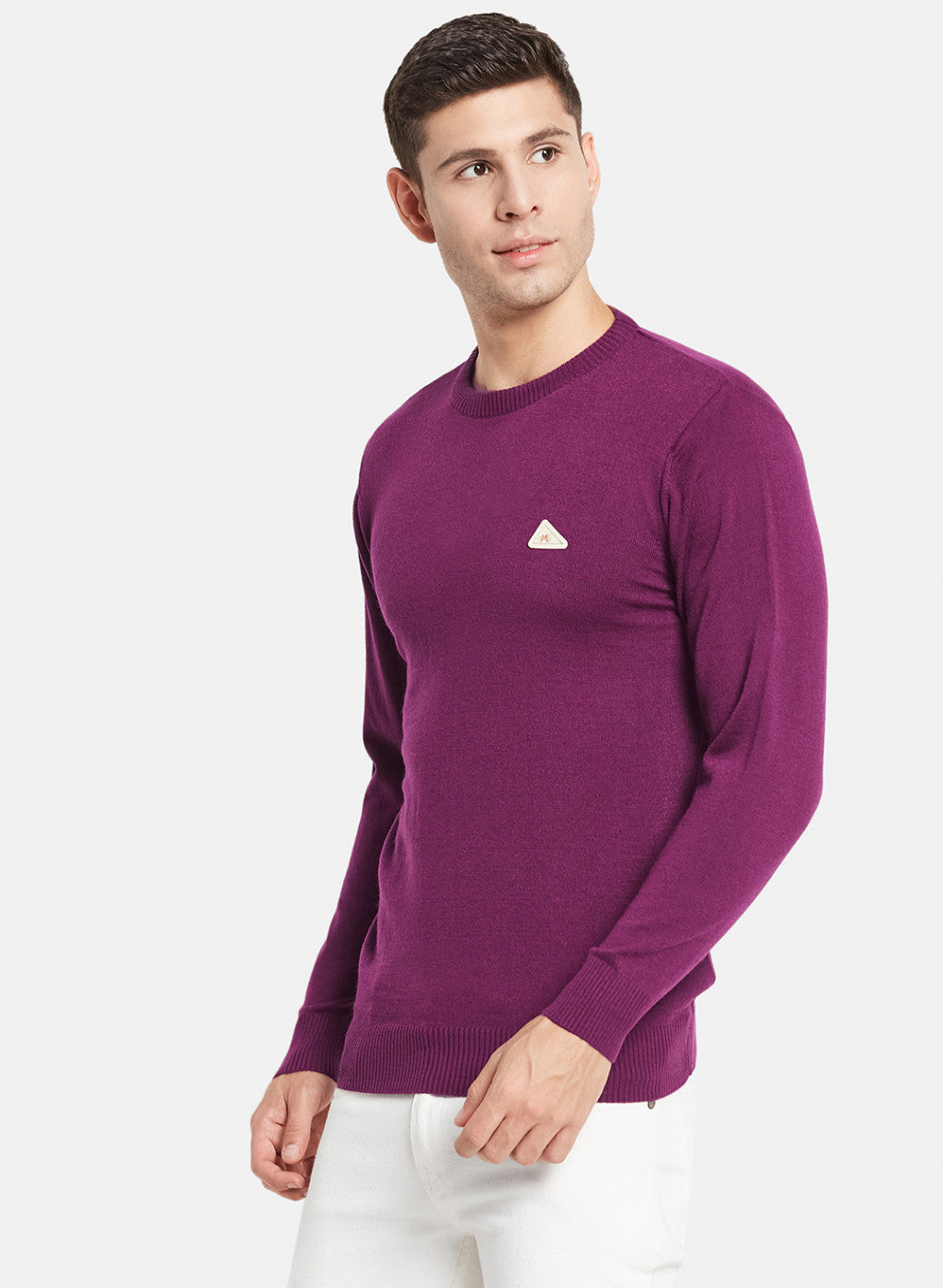 Men Purple Solid Pullover