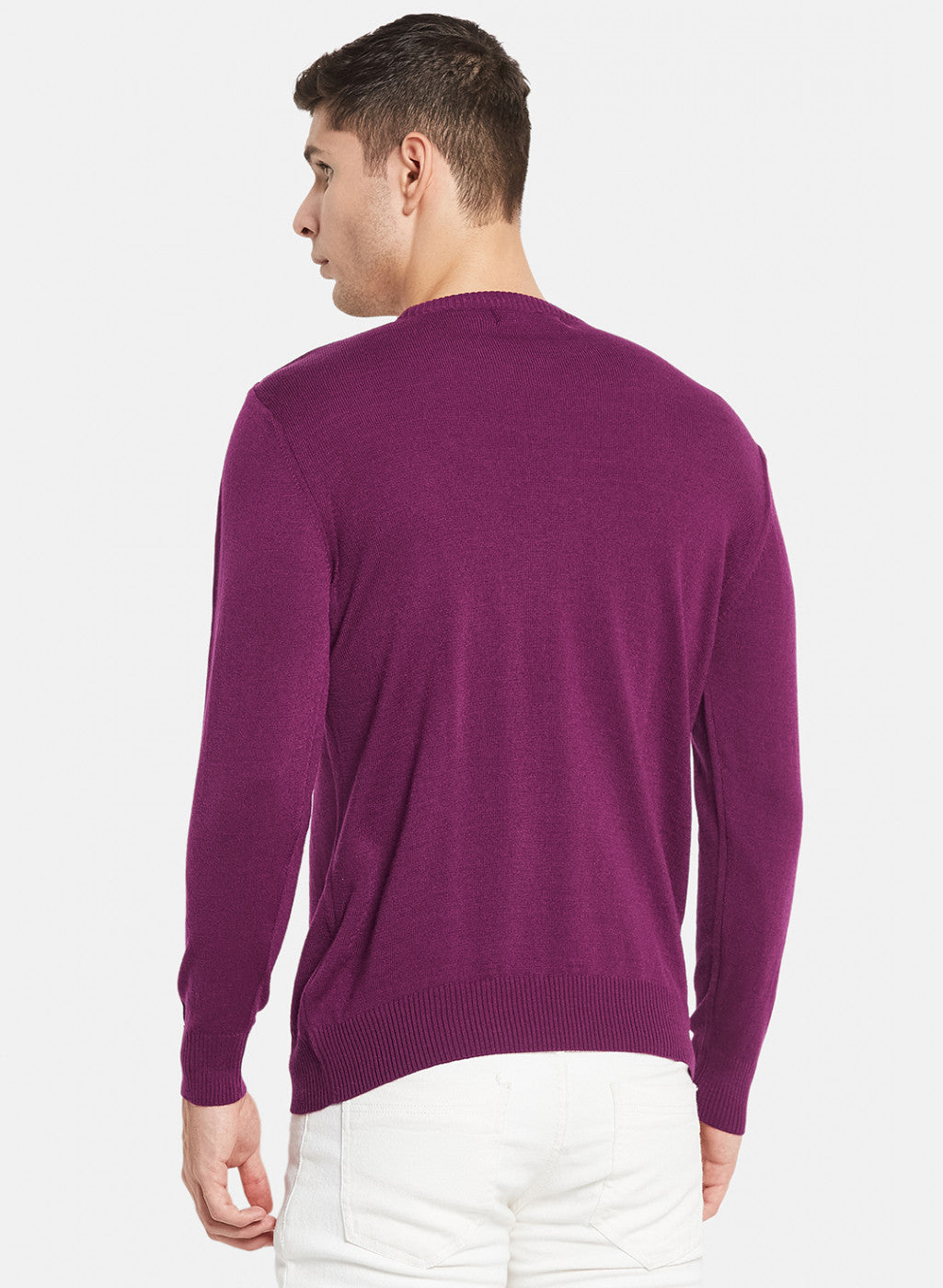 Men Purple Solid Pullover
