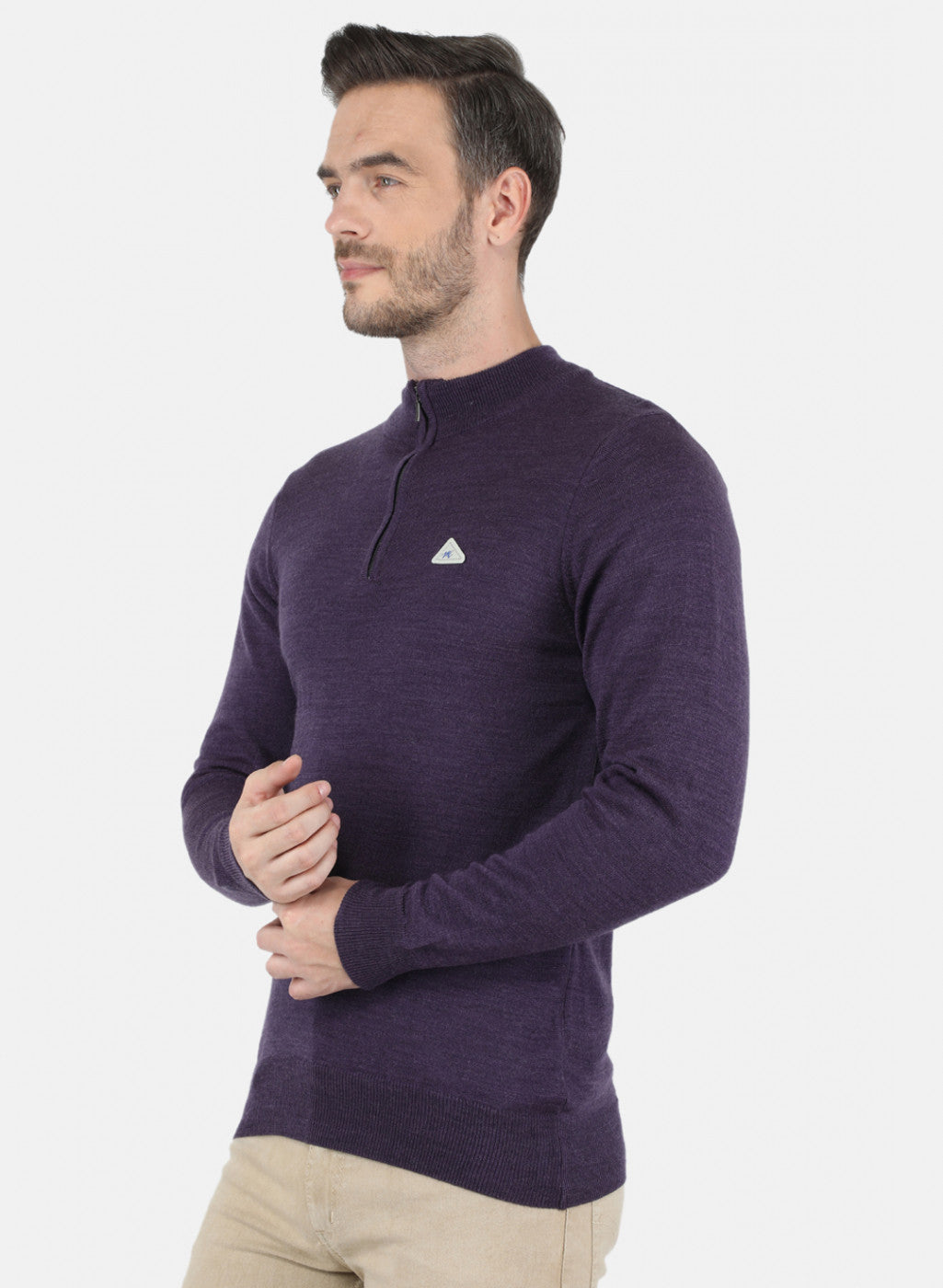 Men Purple Solid Pullover