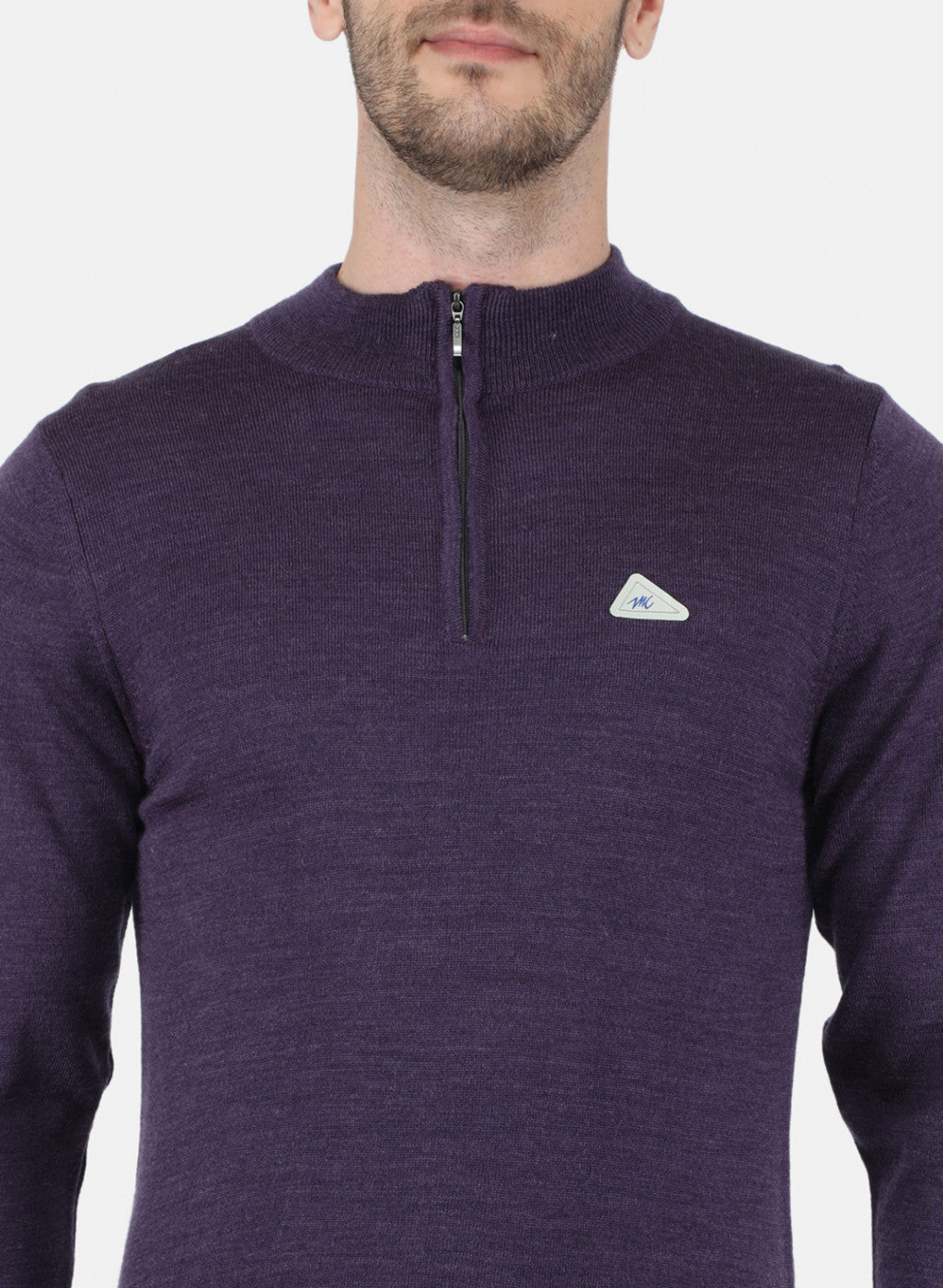 Men Purple Solid Pullover