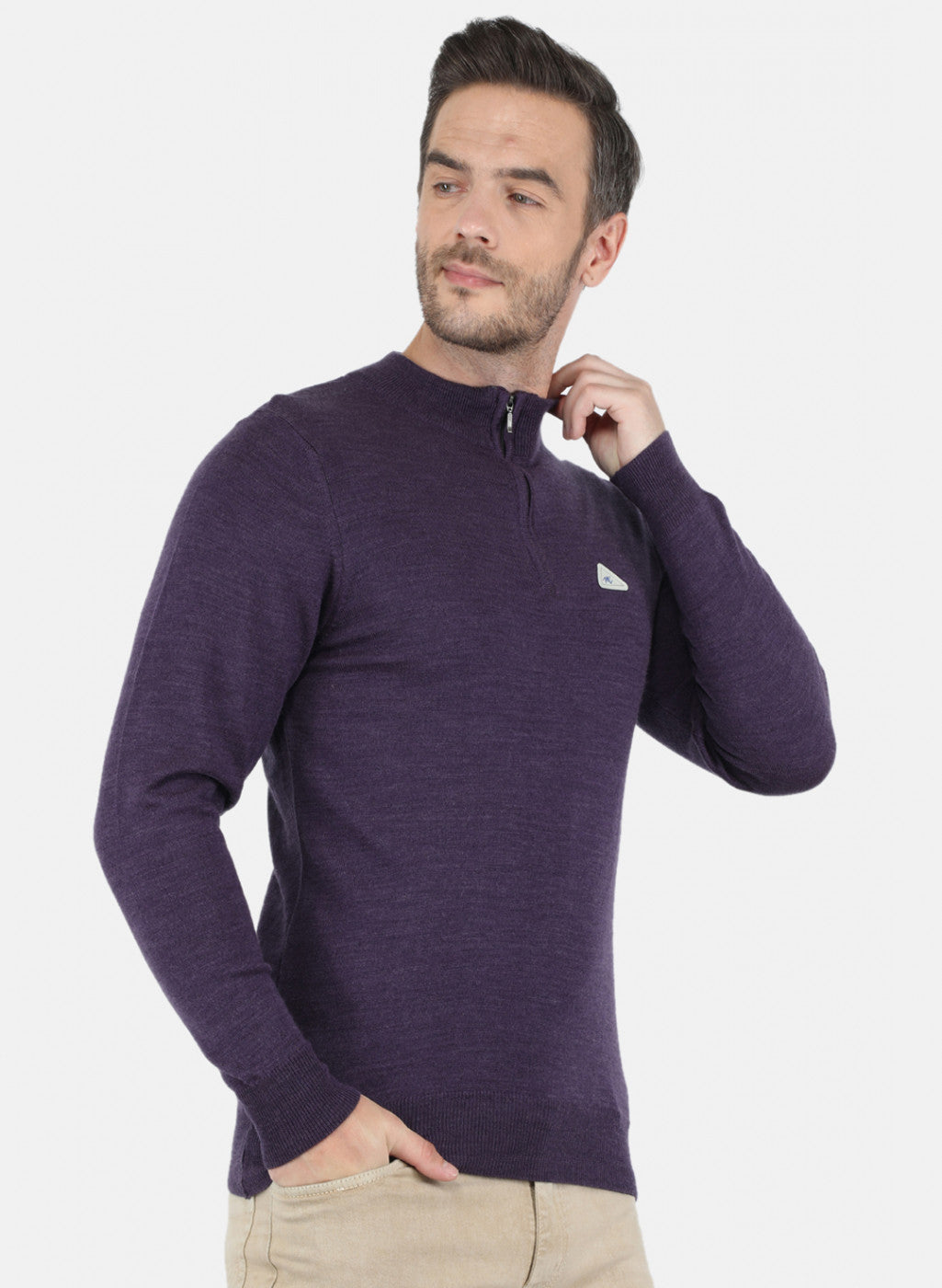 Men Purple Solid Pullover
