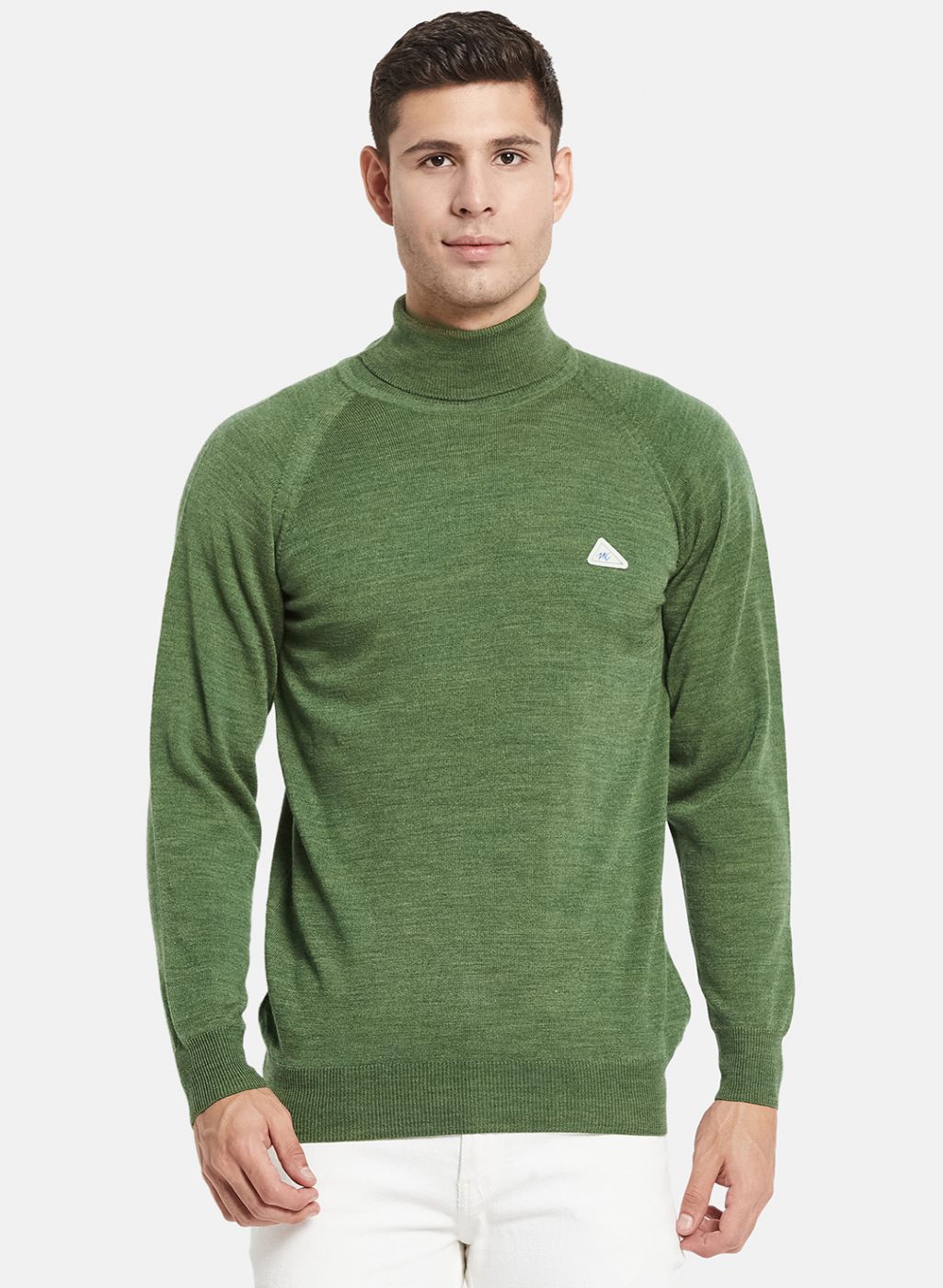Men Olive Solid Pullover