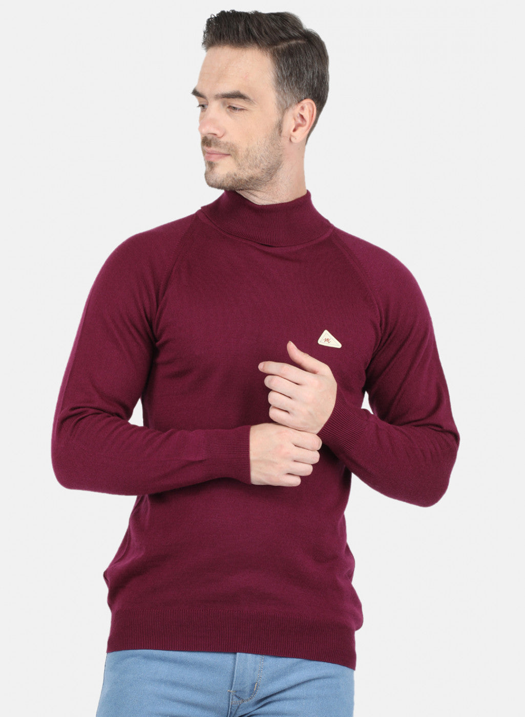 Men Purple Solid Pullover