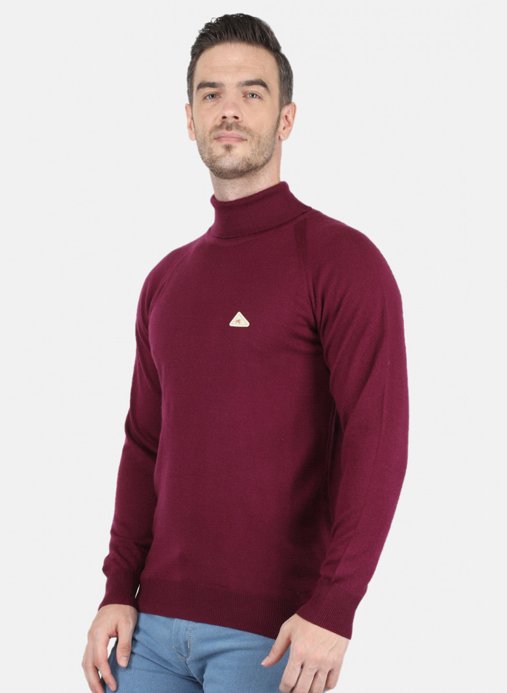 Men Purple Solid Pullover