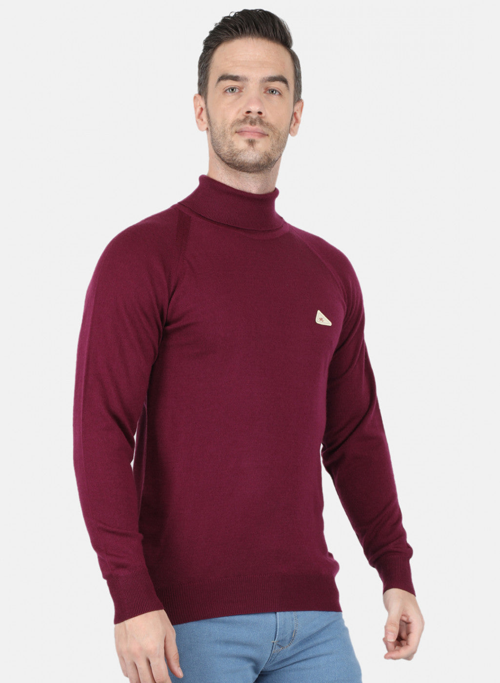 Men Purple Solid Pullover