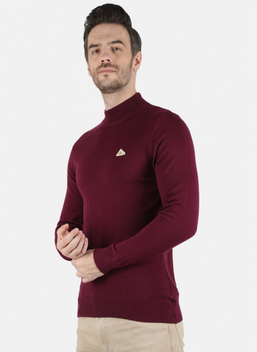 Men Purple Solid Pullover
