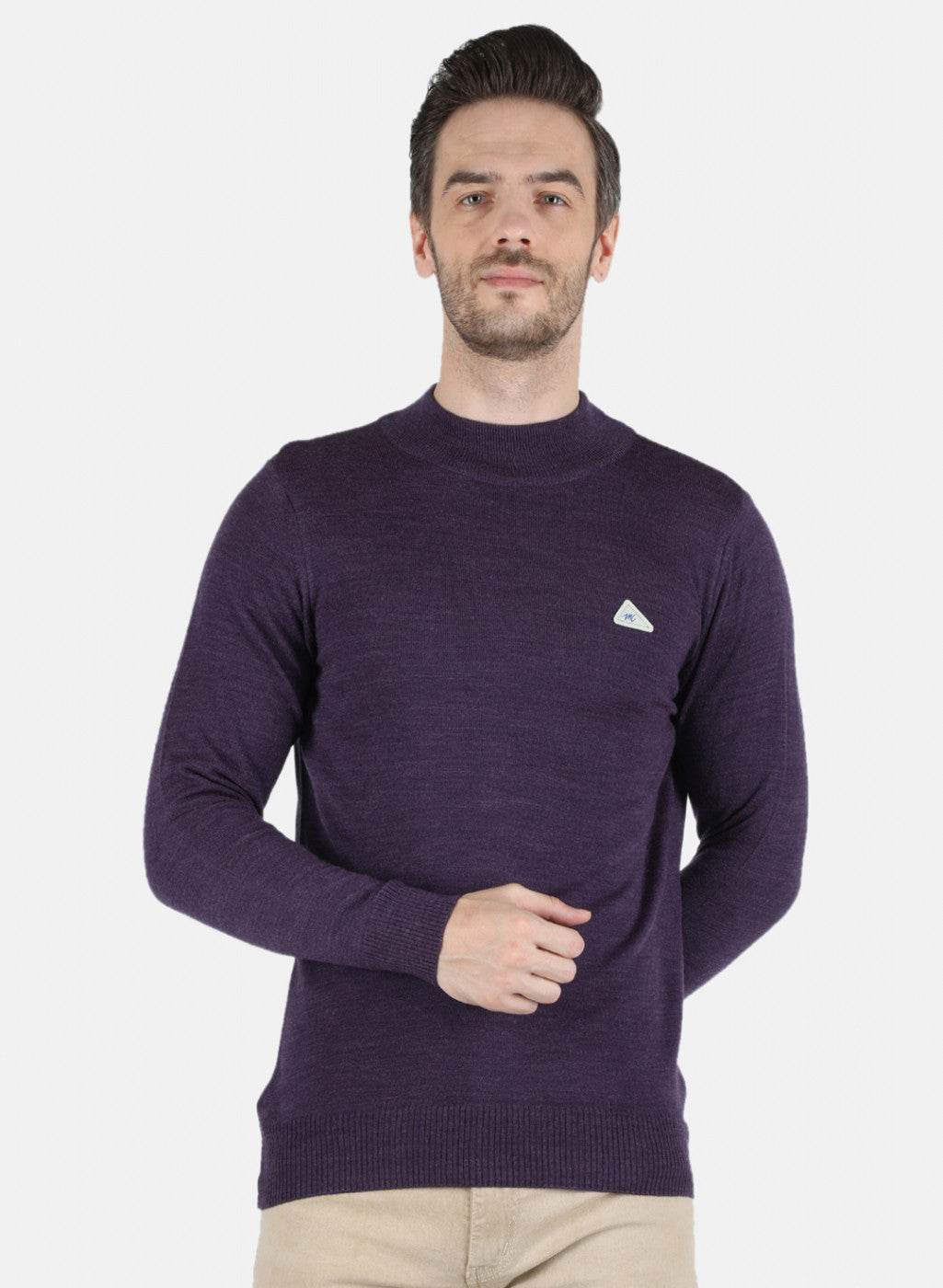 Men Purple Solid Pullover