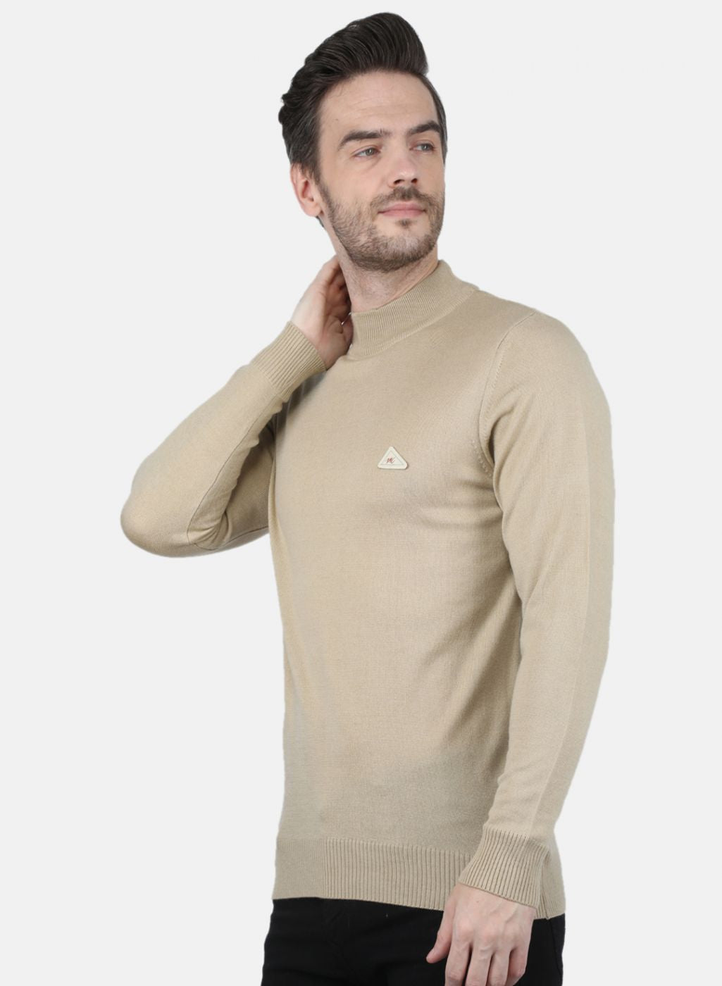Men Beige Solid Pullover