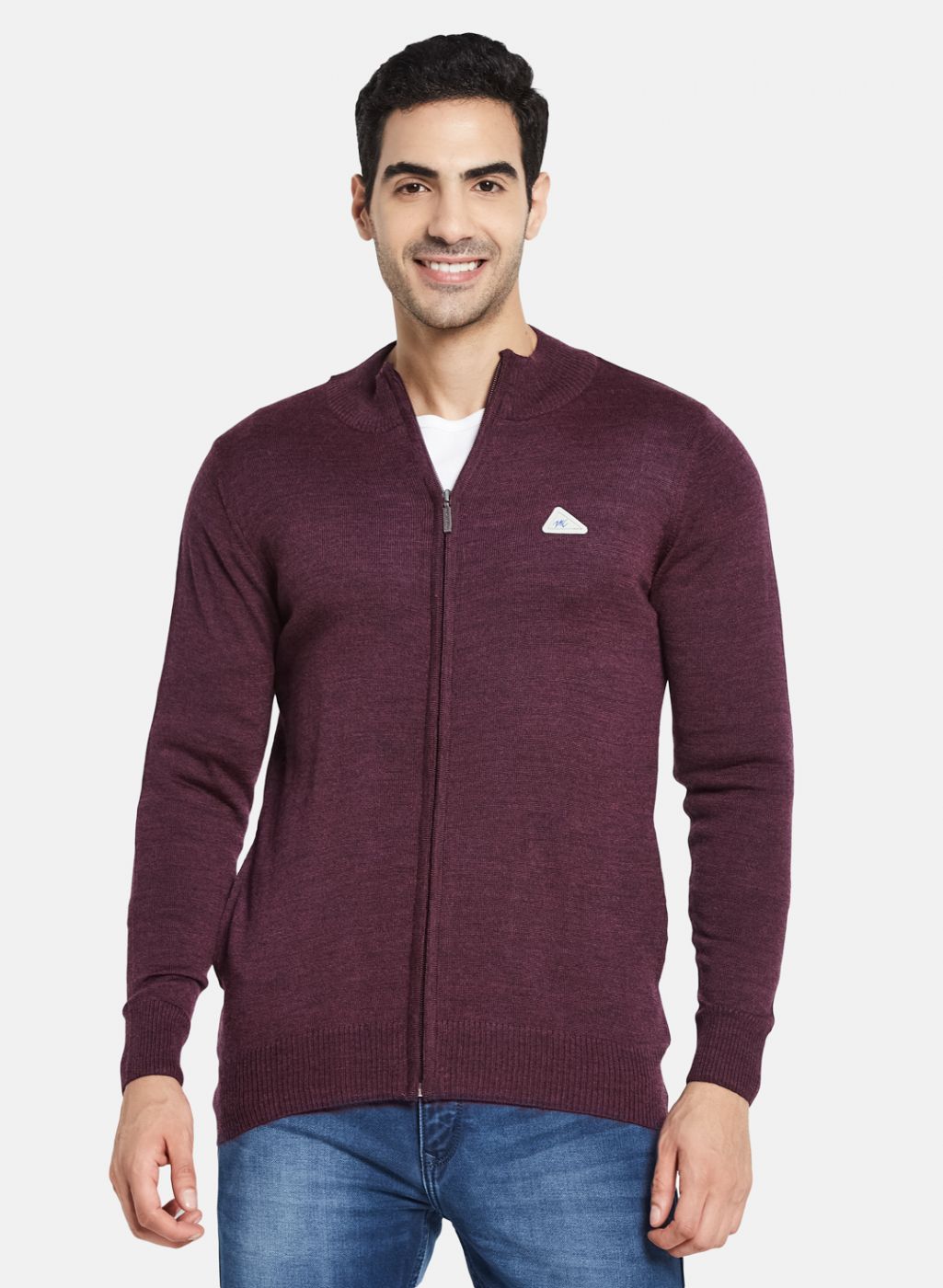 Men Purple Solid Pullover