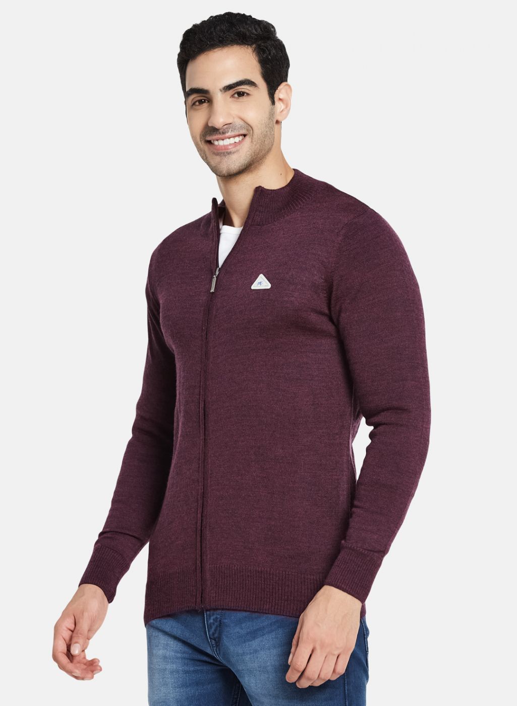 Men Purple Solid Pullover