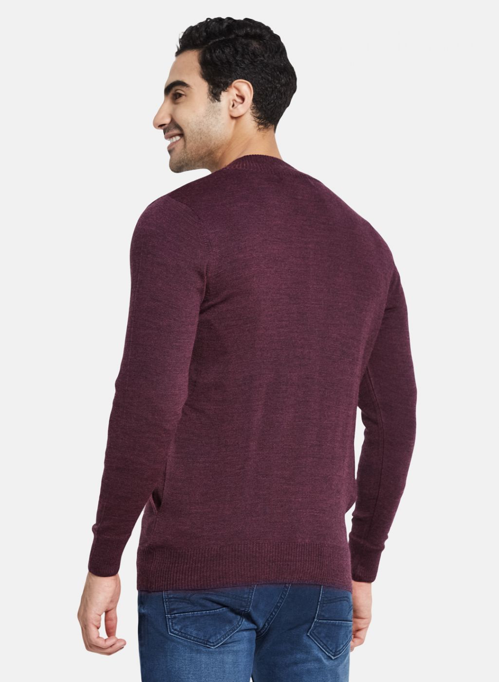 Men Purple Solid Pullover