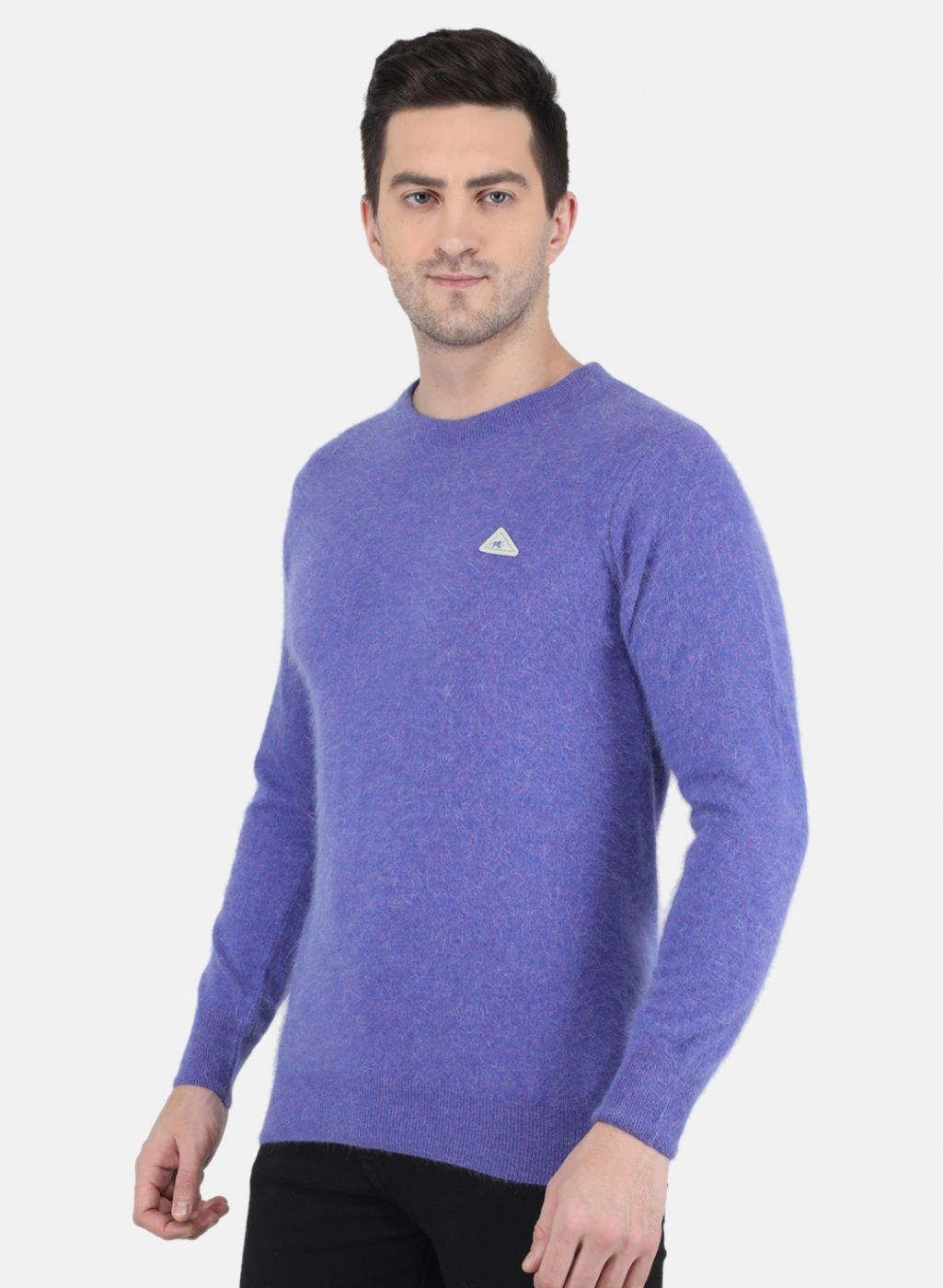 Men Purple Solid Pullover