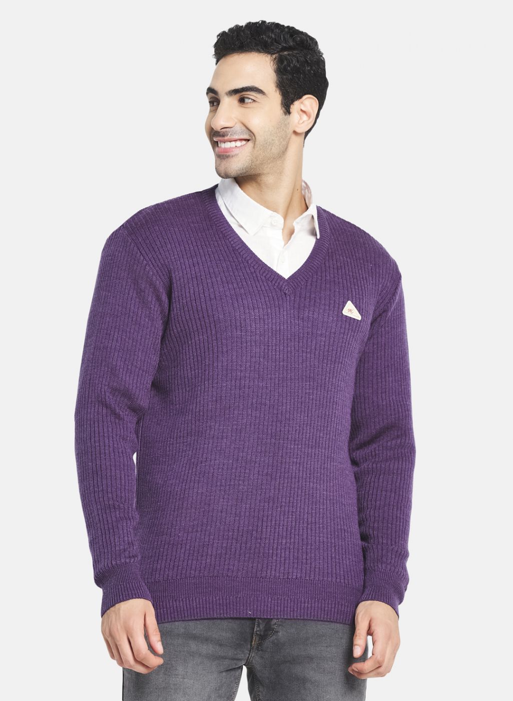 Men Purple Solid Pullover