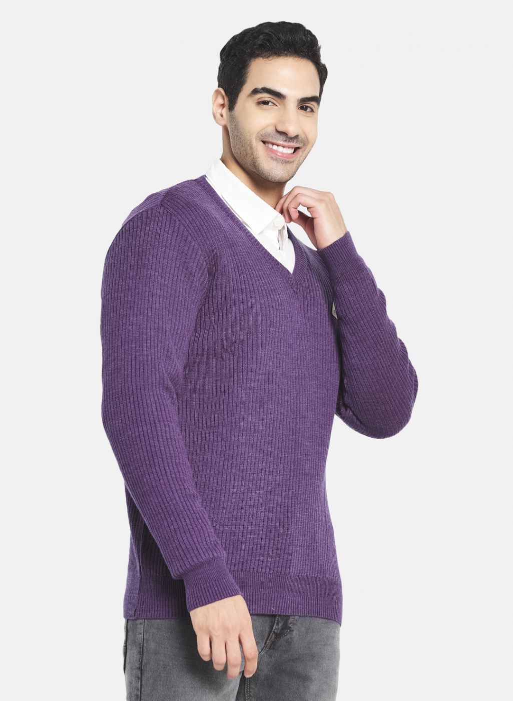 Men Purple Solid Pullover