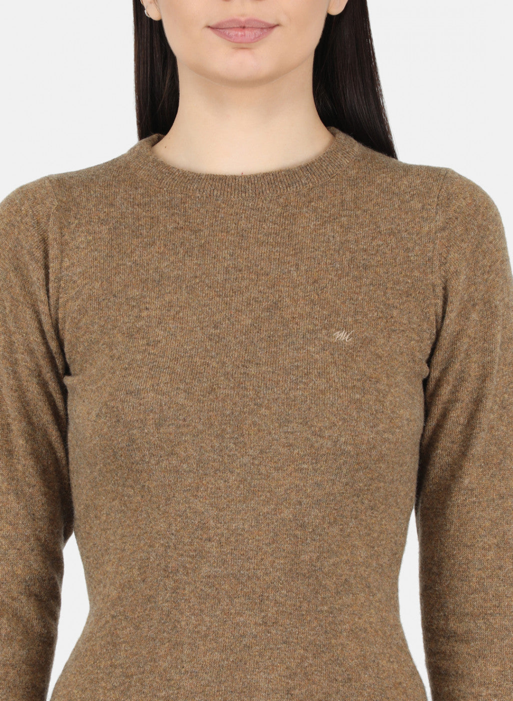 Women Brown Solid Winter Top