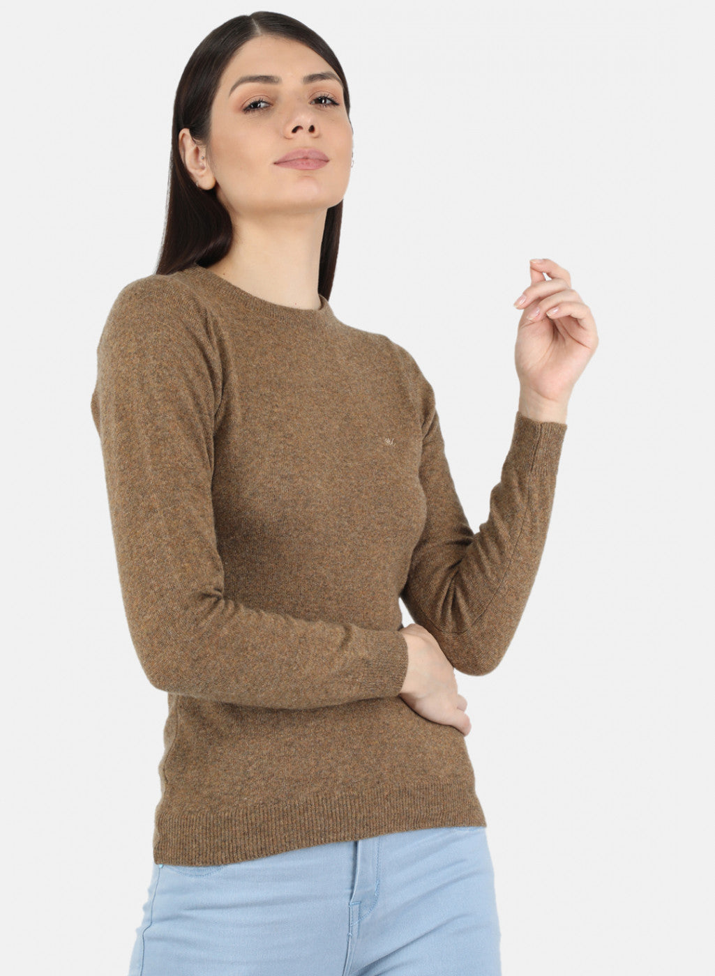 Women Brown Solid Winter Top