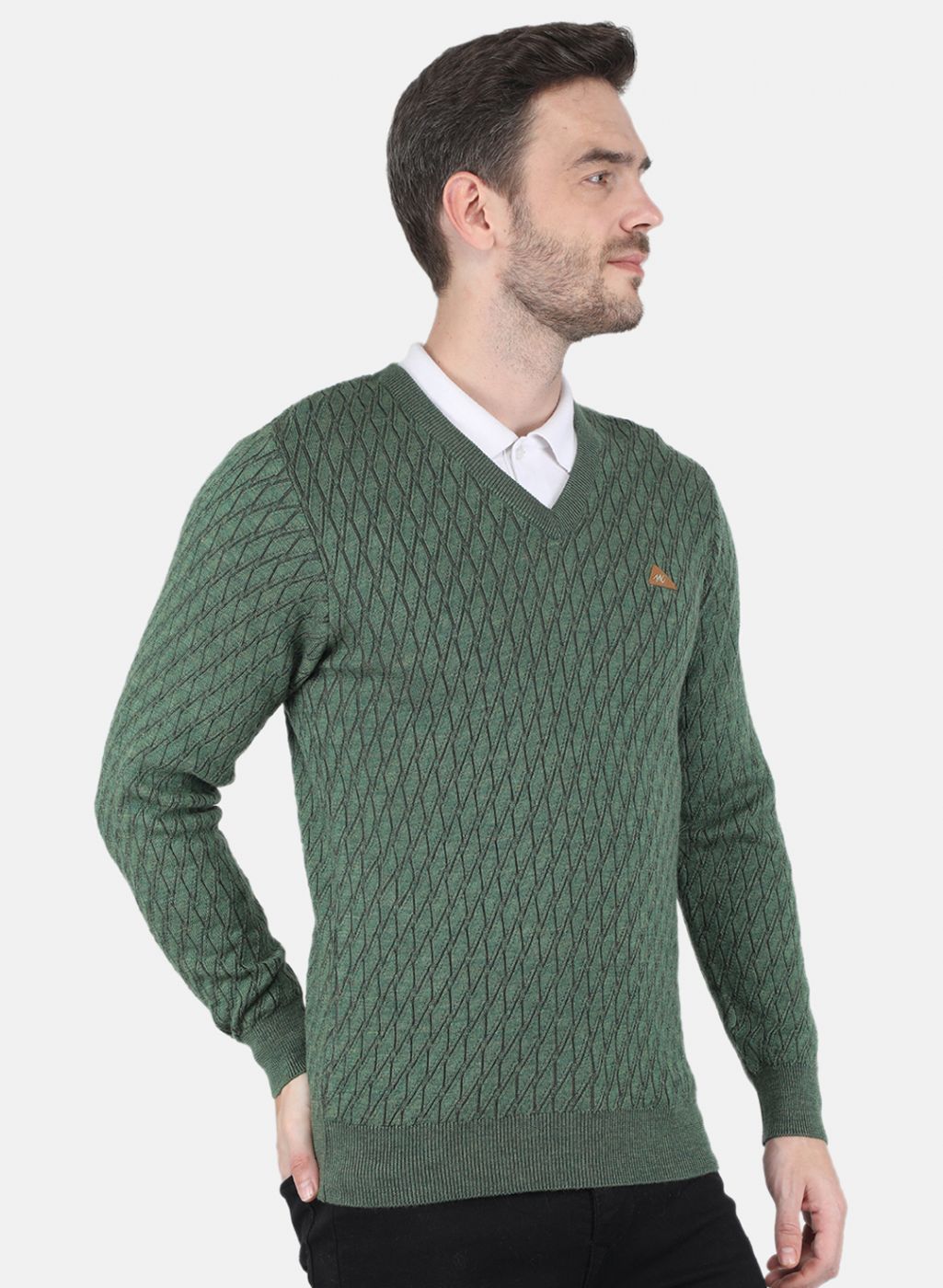 Men Green Self design Pullover