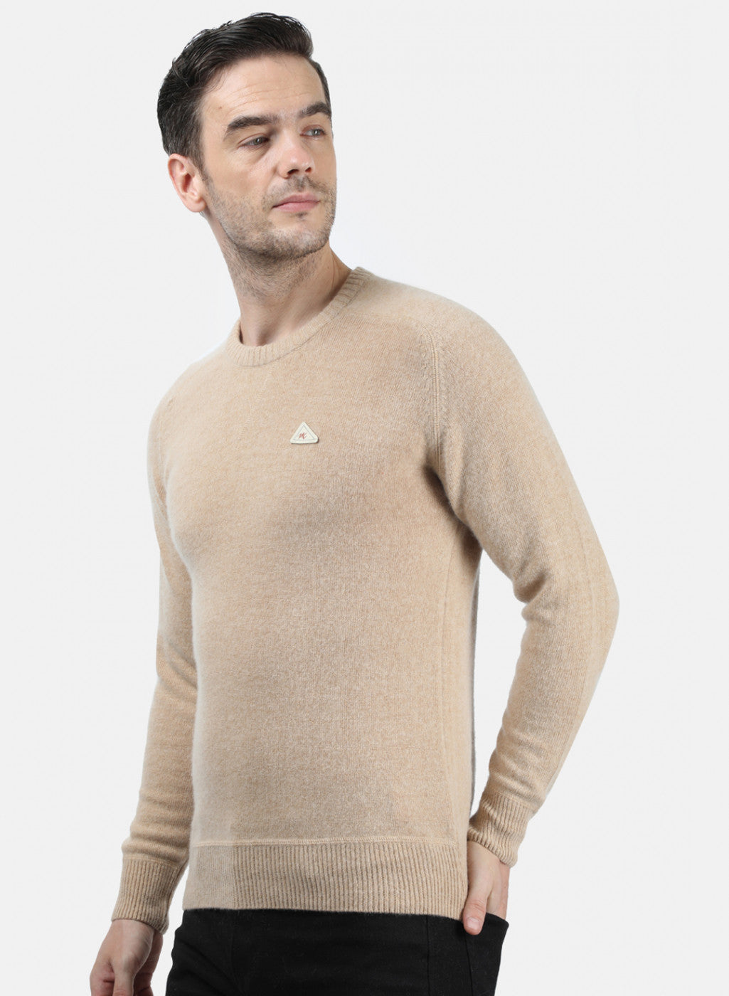 Men Beige Solid Pullover