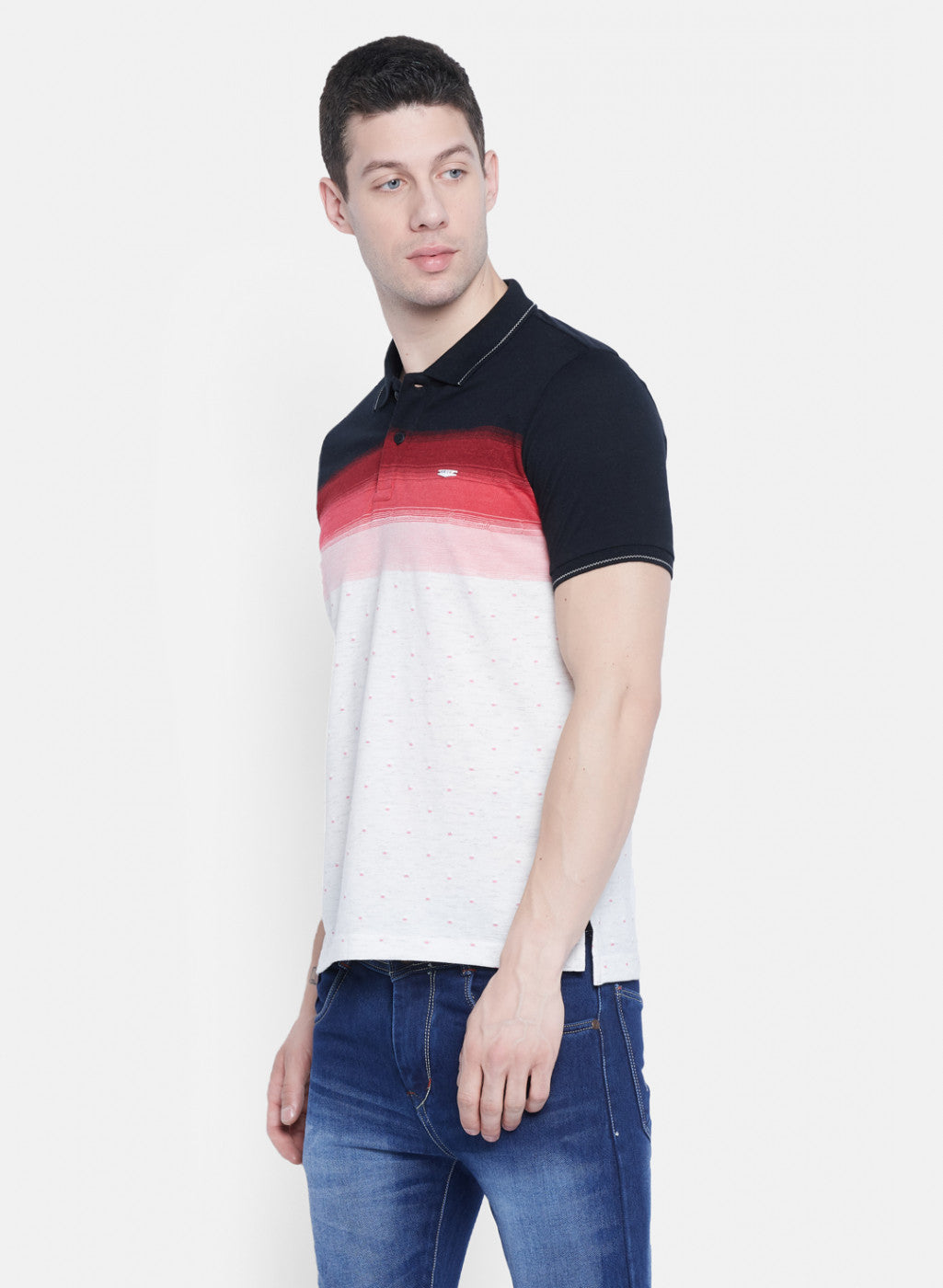 Mens Multicolor Stripe T-Shirt
