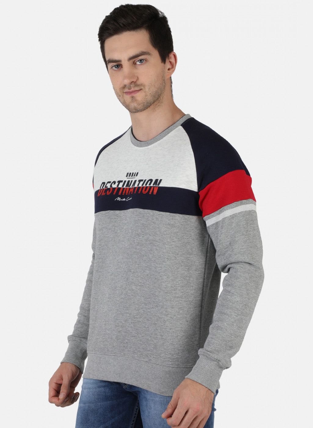 Men Grey Printed Sweatshirt