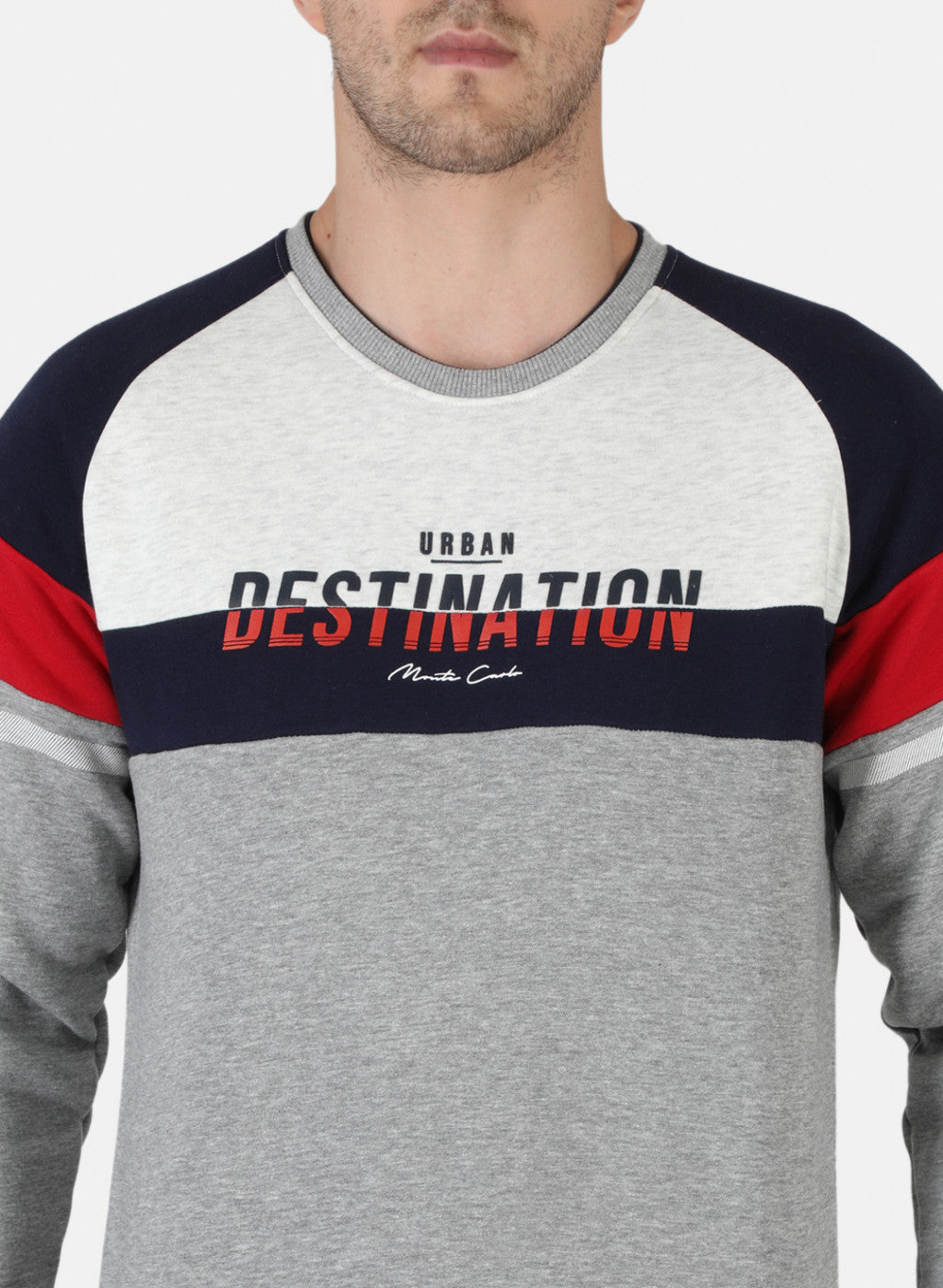 Men Grey Printed Sweatshirt