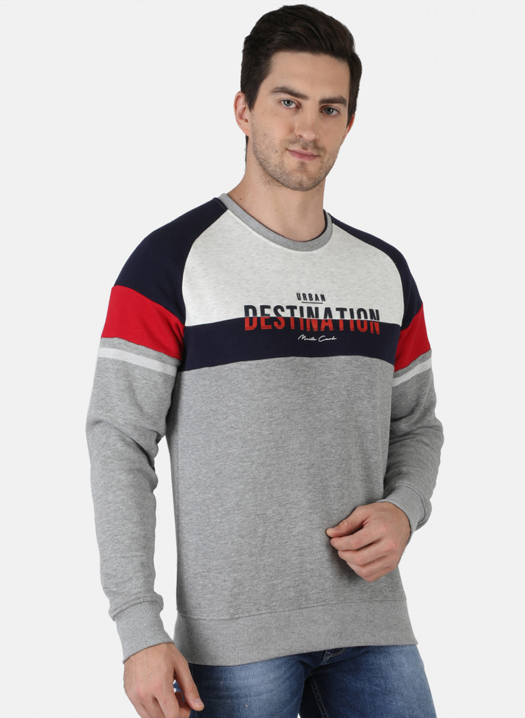 Men Grey Printed Sweatshirt