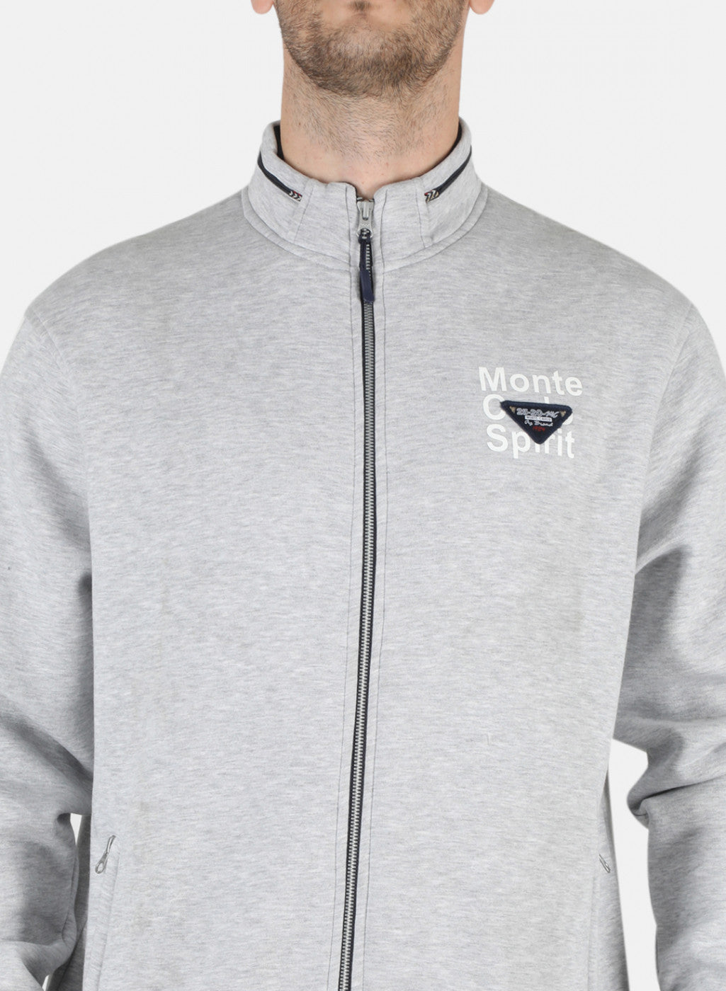 Men Grey Printed Sweatshirt