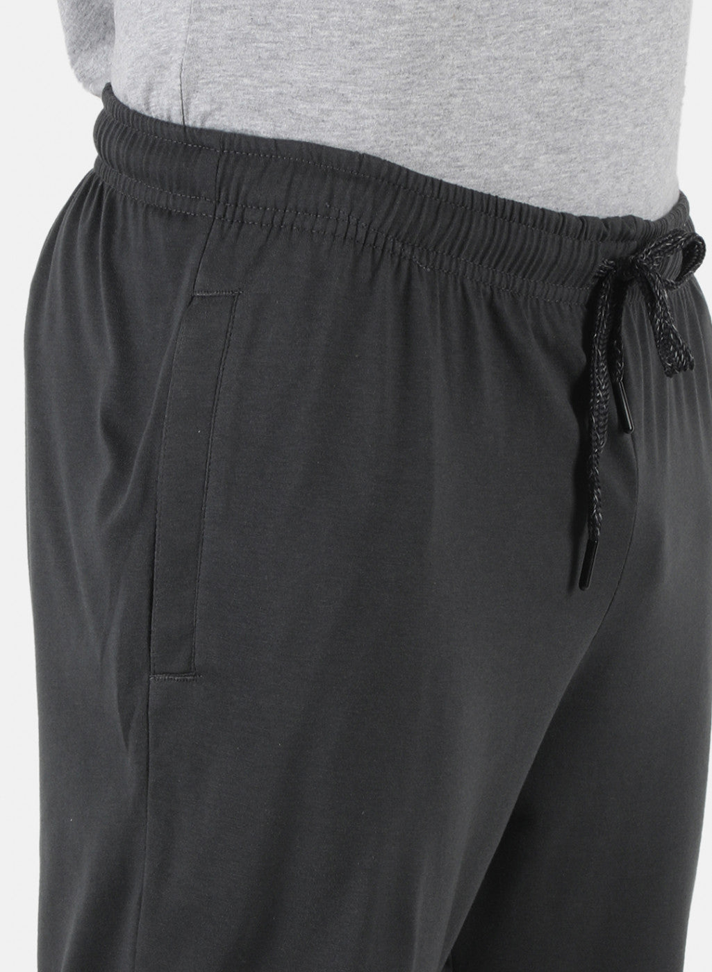 Men Grey Regular Fit Lower