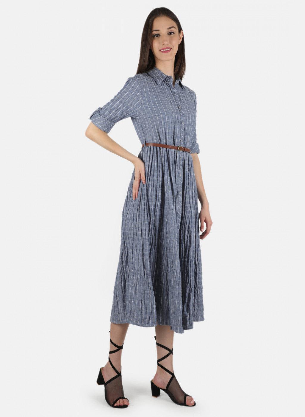 Women Blue Check Dress