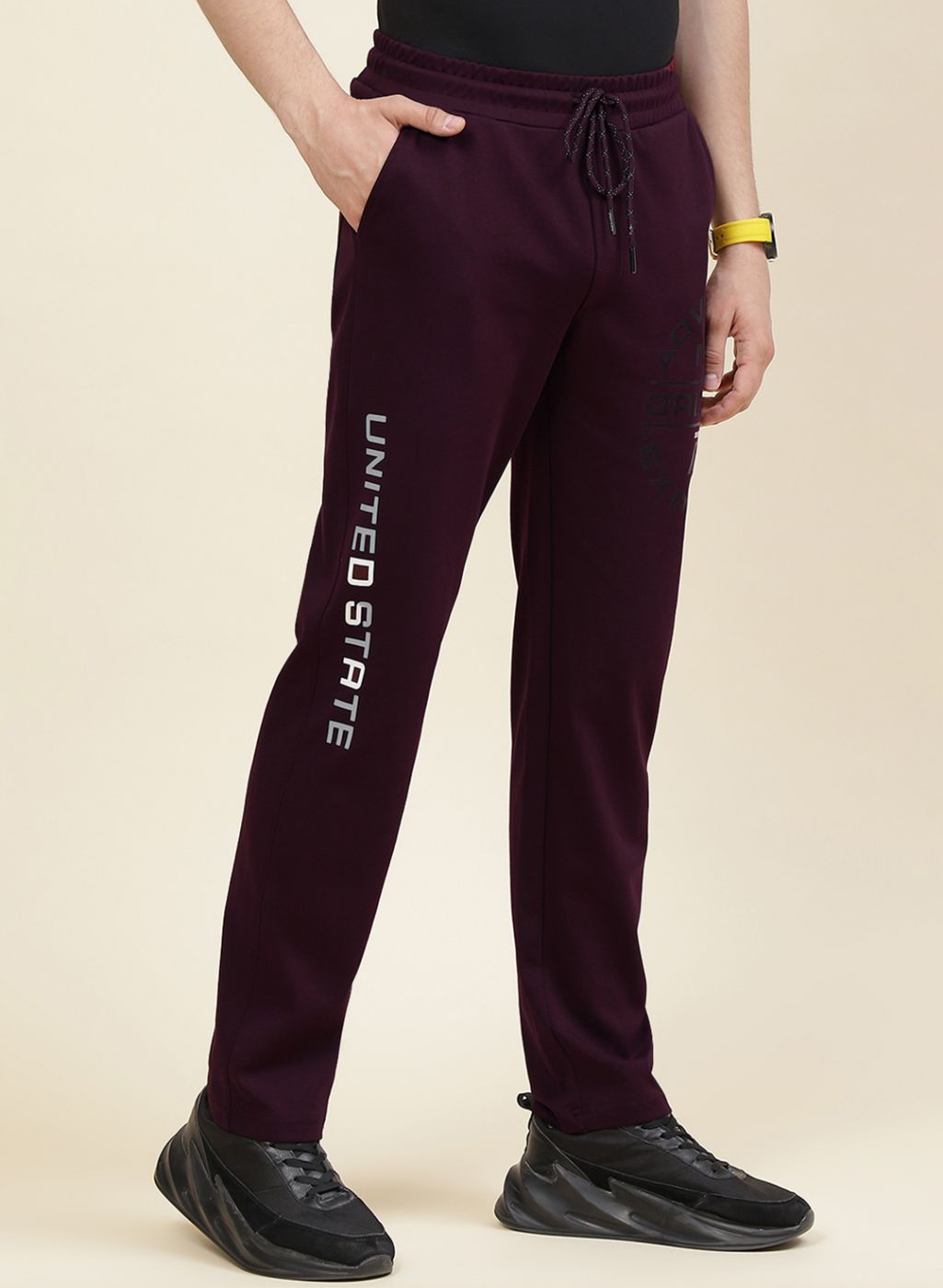 Men Maroon Regular Fit Lower
