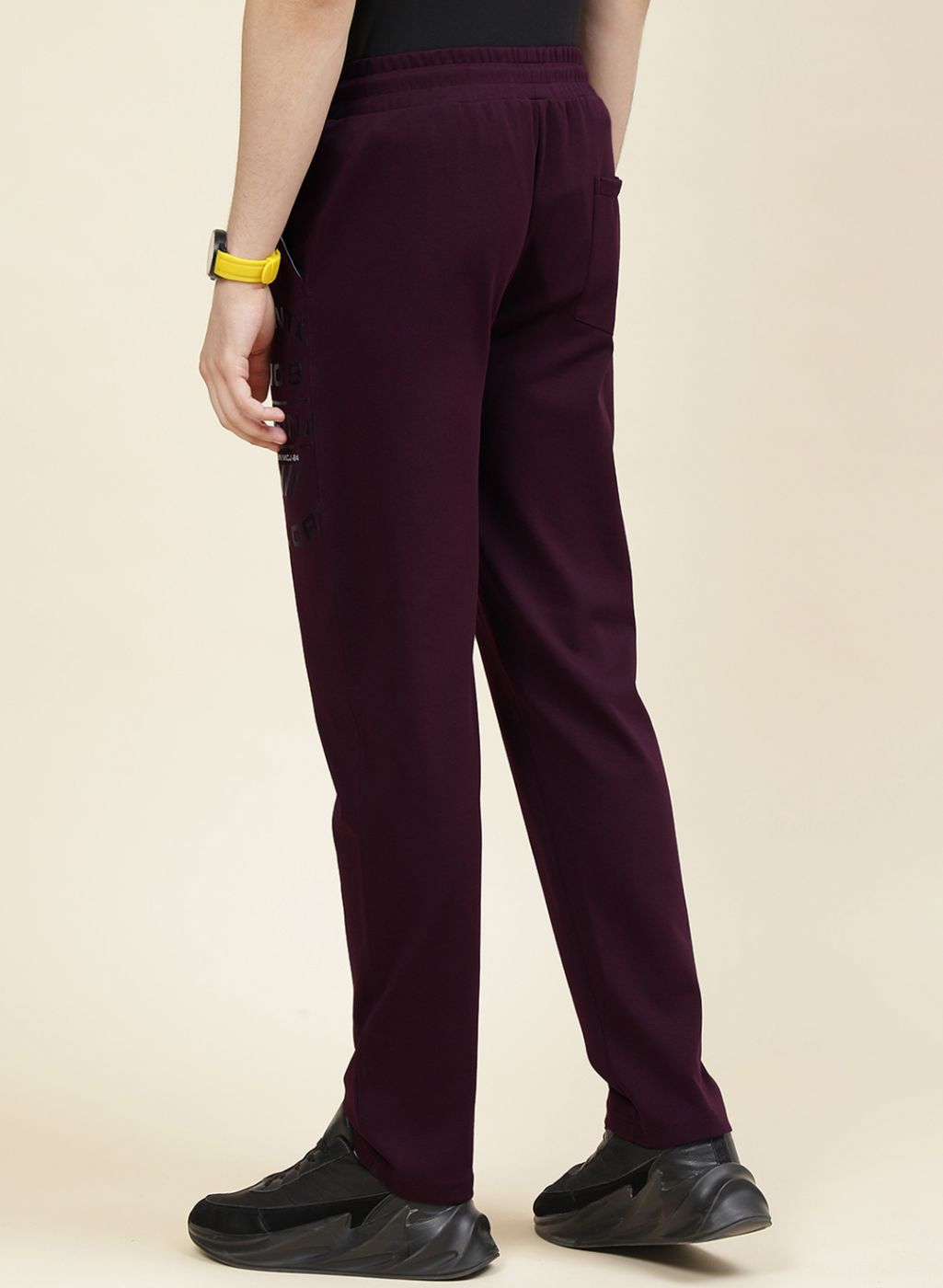 Men Maroon Regular Fit Lower