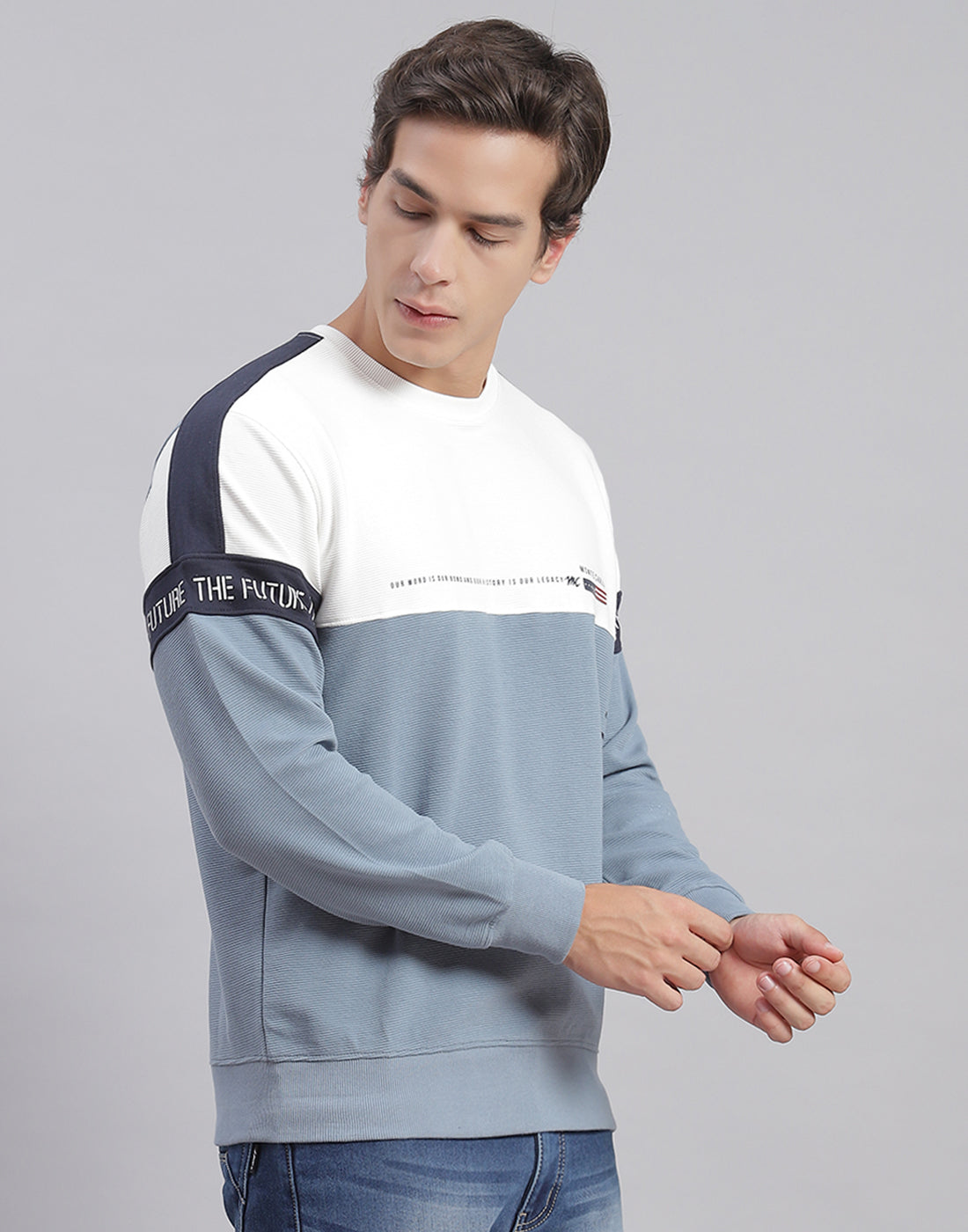 Men Blue Printed Round Neck Full Sleeve Sweatshirts