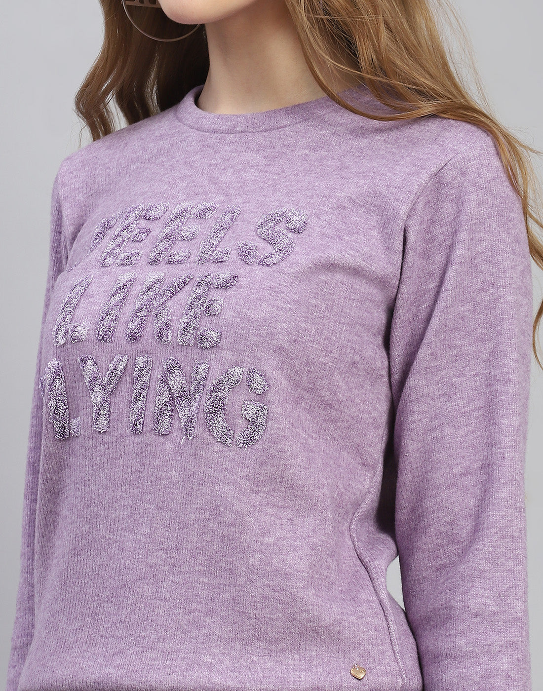 Women Purple Embroidered Round Neck Full Sleeve Sweatshirt