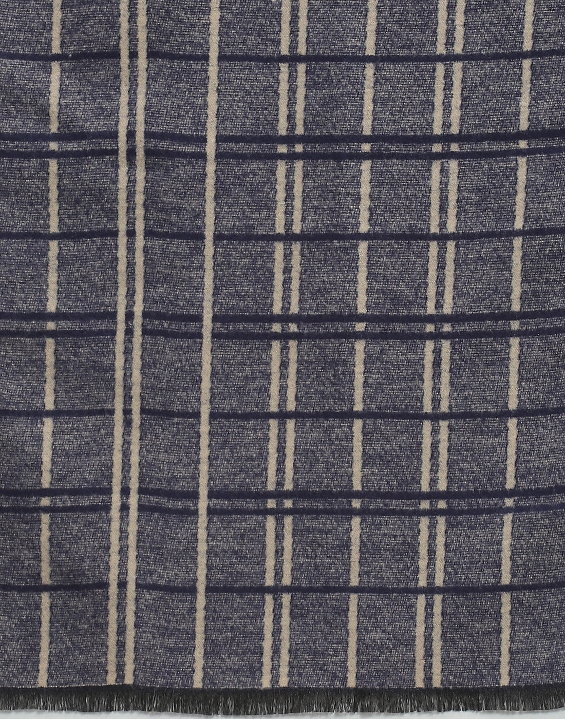 Men Blue Check Muffler