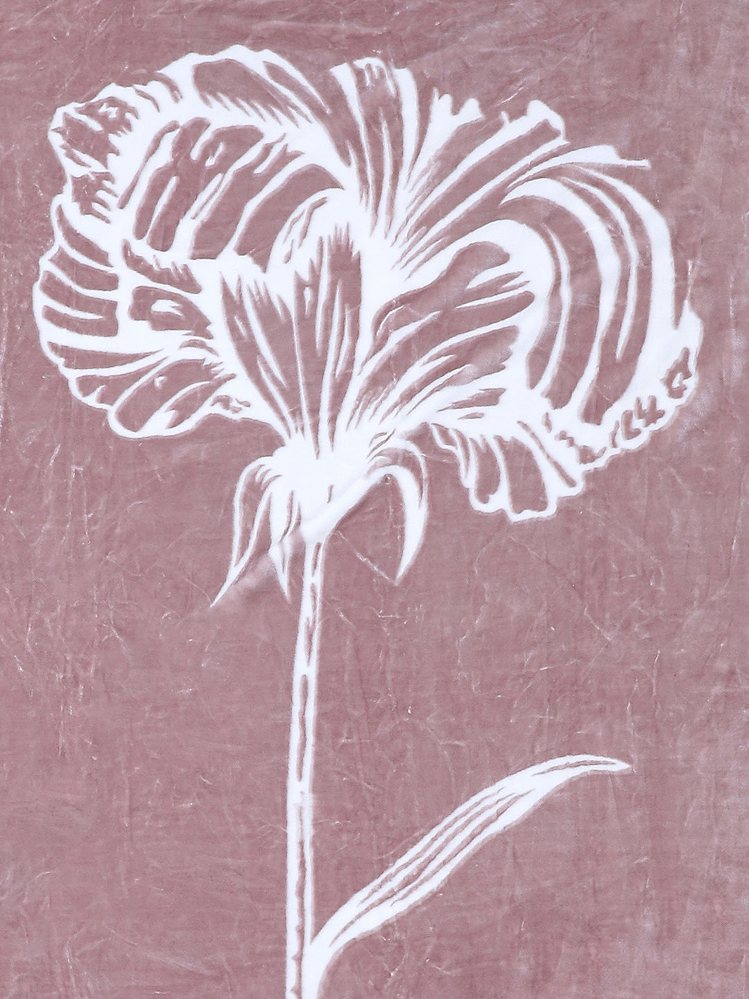 Printed Single Bed Blanket for Mild Winter -2 Ply