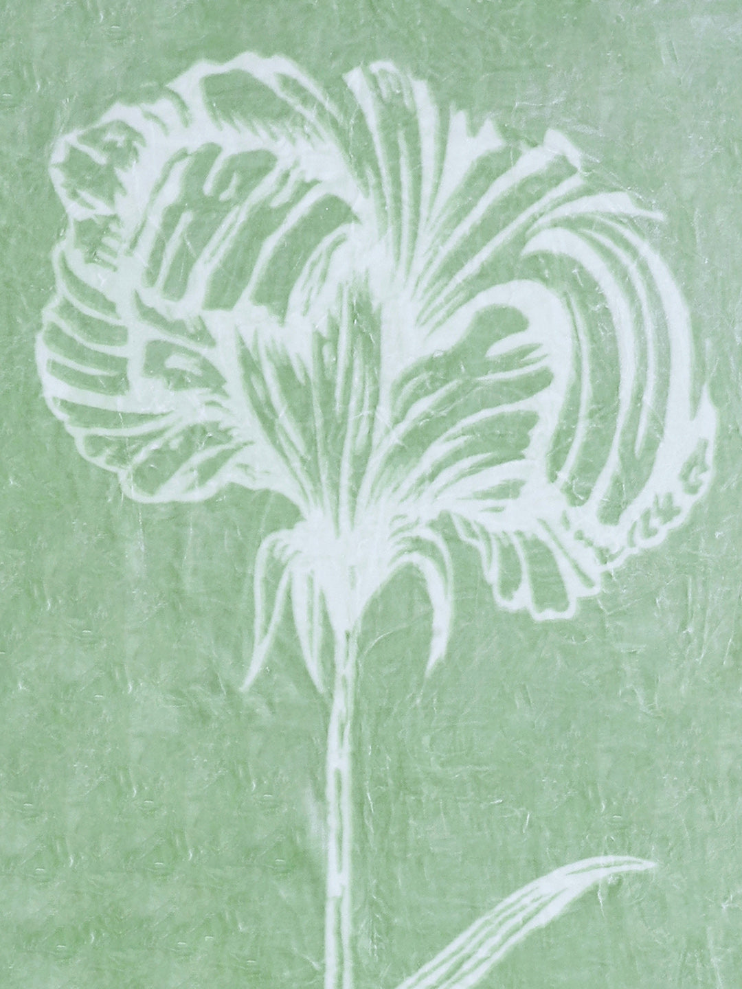 Printed Single Bed Blanket for Mild Winter -2 Ply