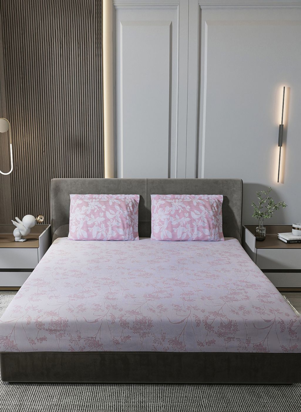 210TC Pure Cotton King Bedsheet with 2 Pillow Covers
